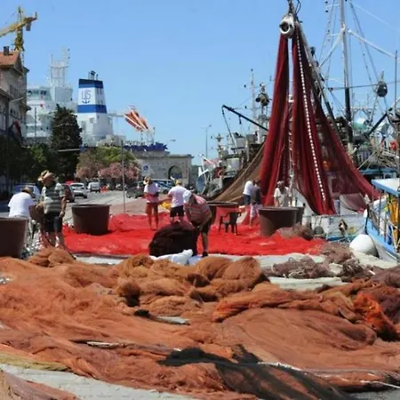 Amfora Deluxe * פולה