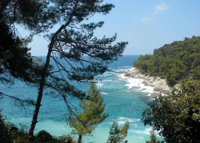 Amfora Deluxe Πούλα