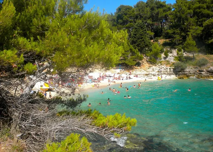 Amfora Deluxe Διαμέρισμα