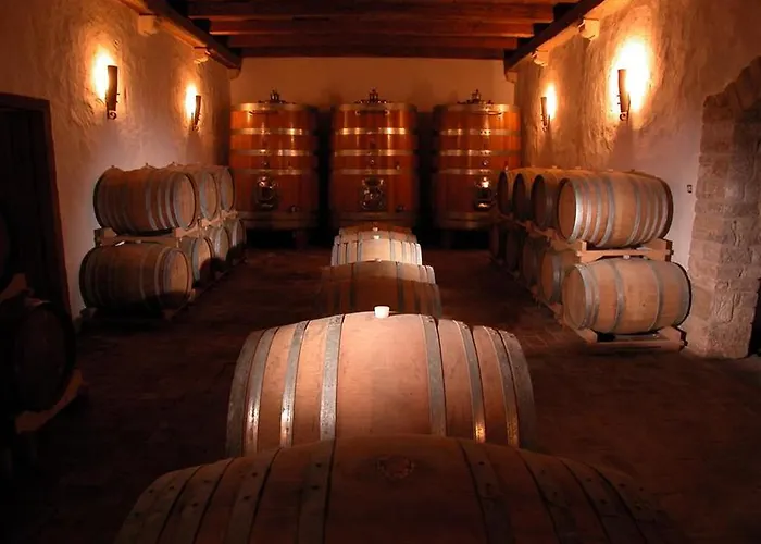 Daire Amfora Deluxe *