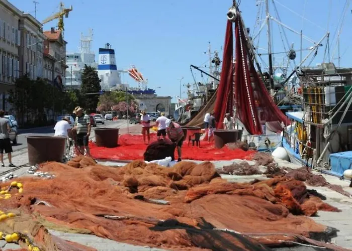 Amfora Deluxe * Πούλα