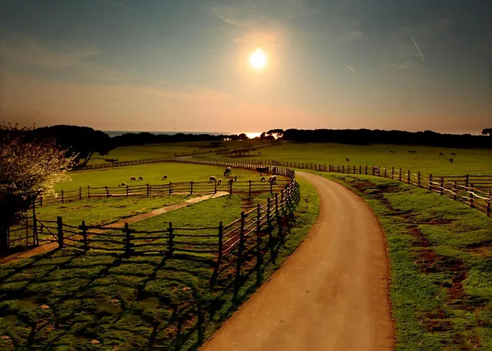 Amfora Deluxe Πούλα